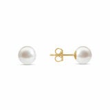 8-8.5mm Cultured Freshwater White Pearl Earrings, 14ct Yellow Gold 8-8.5mm Cultured Freshwater White Pearl Earrings, 14ct Yellow Gold