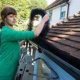 Hedgehog Gutter Brush Leaf and Debris Guard 2 x 4M Hedgehog Gutter Brush Leaf and Debris Guard 2 x 4M