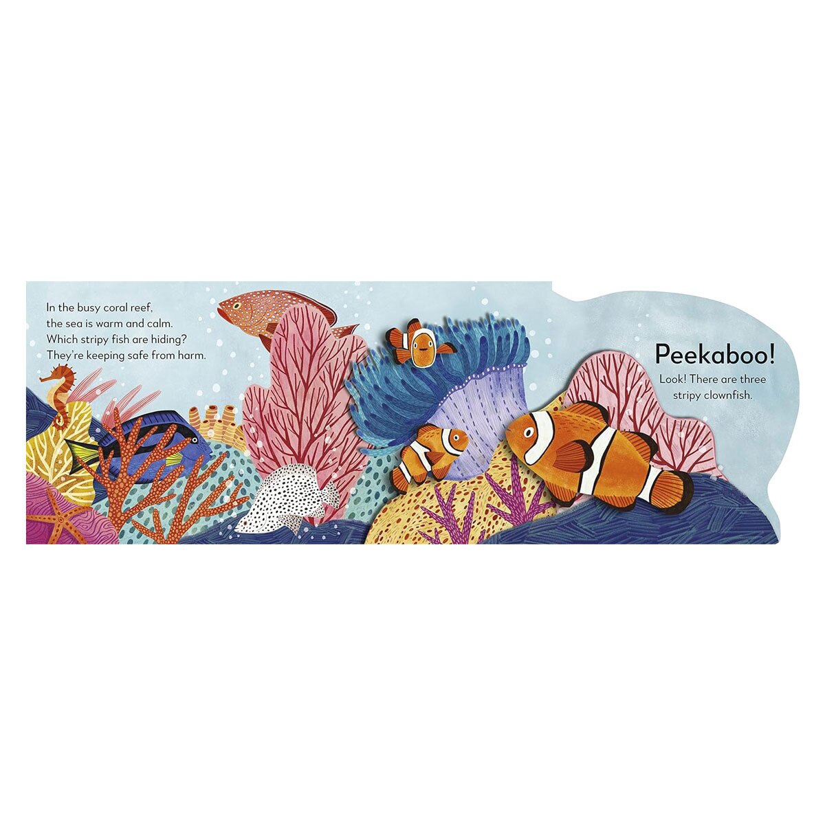 Pop-up Peekaboo Ocean