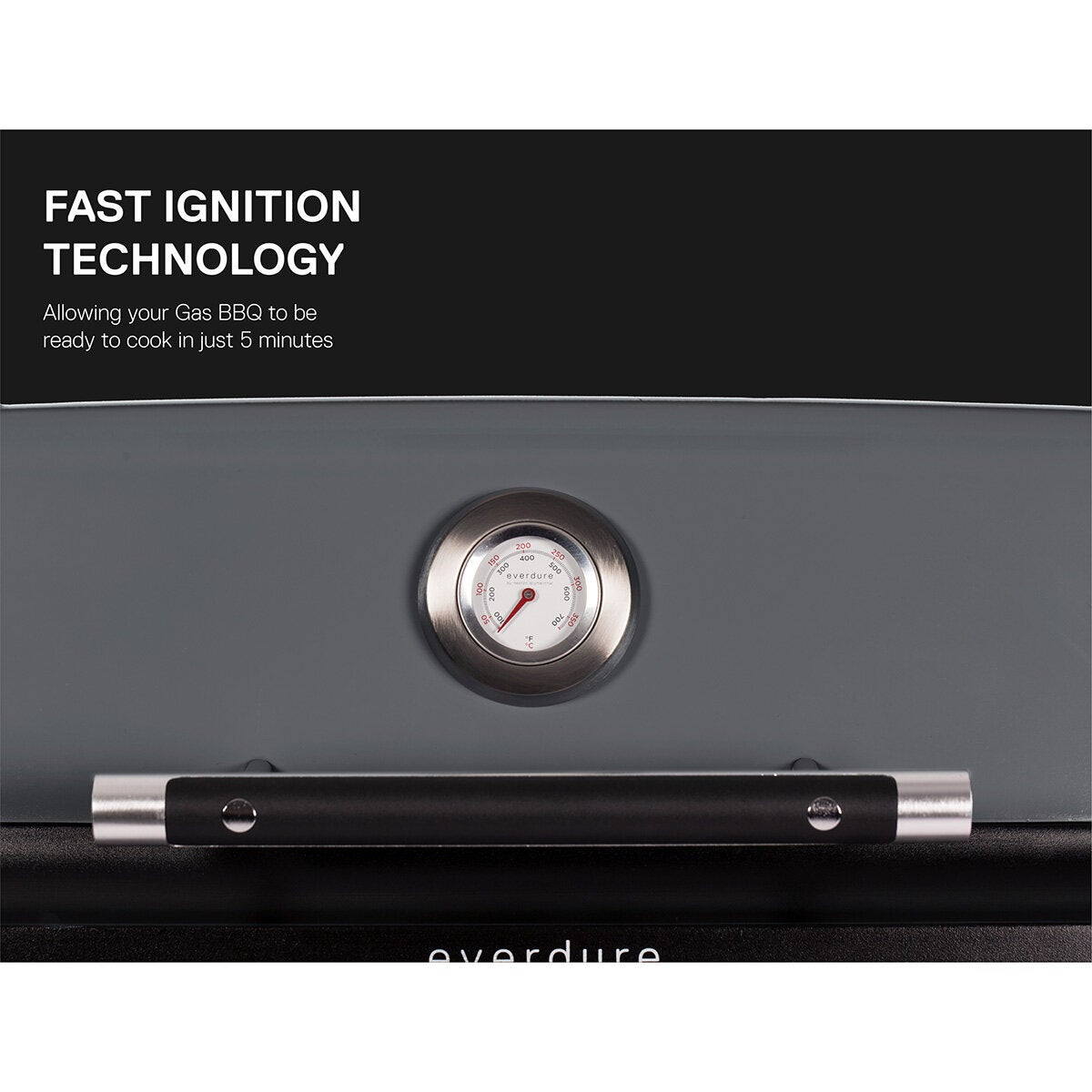 Everdure Force 2 Burner Gas Barbecue in Graphite