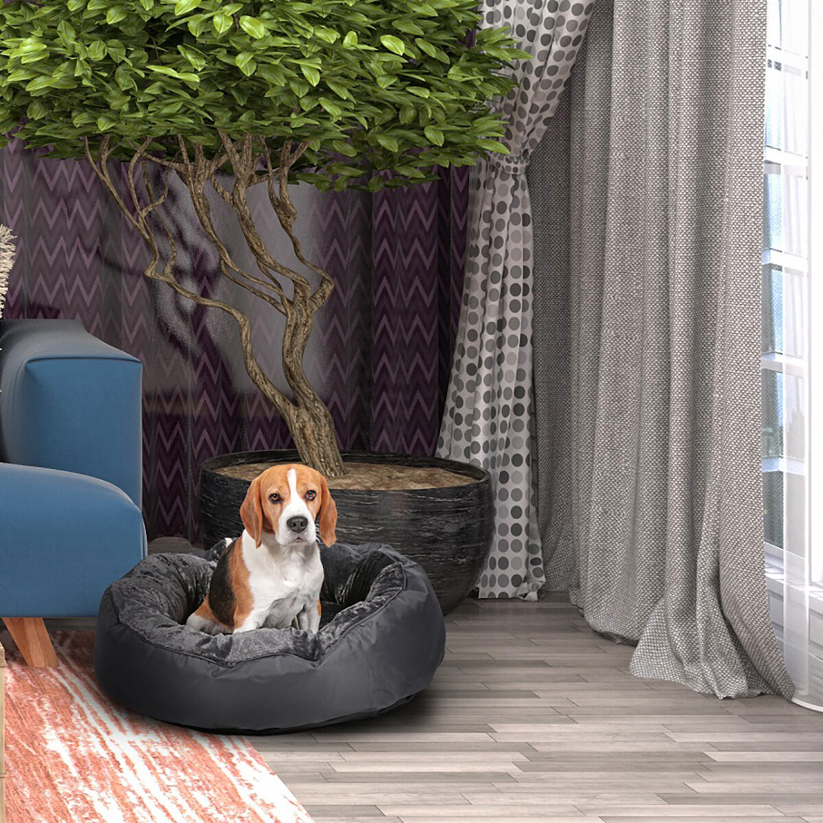 Brown Dog in Black Pet Bed