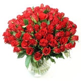 Valentine's 100 Stem Kenyan Red Calypso Roses Flower Bouquet with Greetings Card