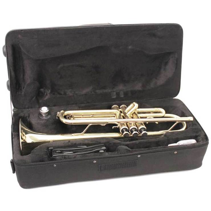 Windsor Bb Trumpet with Case Costco UK