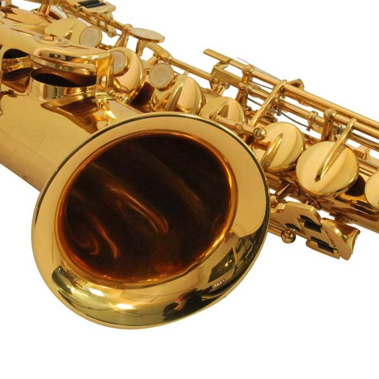 Windsor Alto Saxophone with Case Costco UK