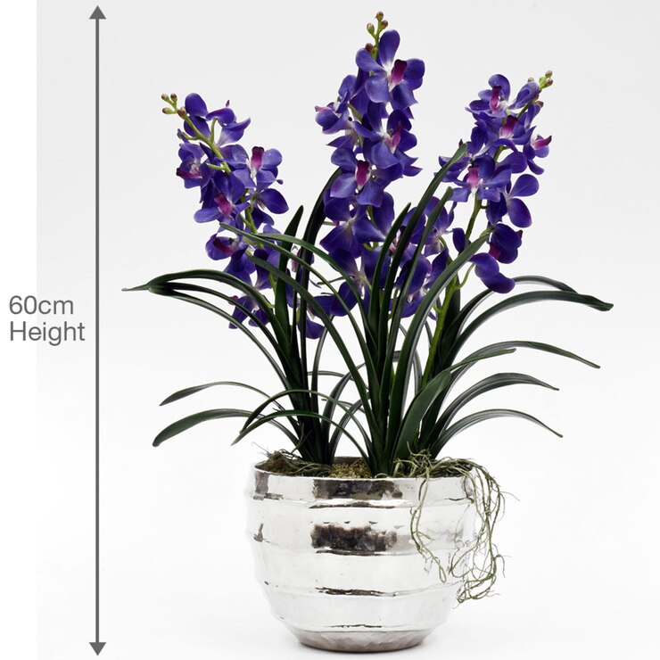 Bamburgh Silk Vanda Orchid, Purple in Silver Bowl Costco UK