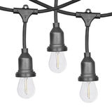 Feit 24 Pack Replacement Bulbs for Feit LED String Lights