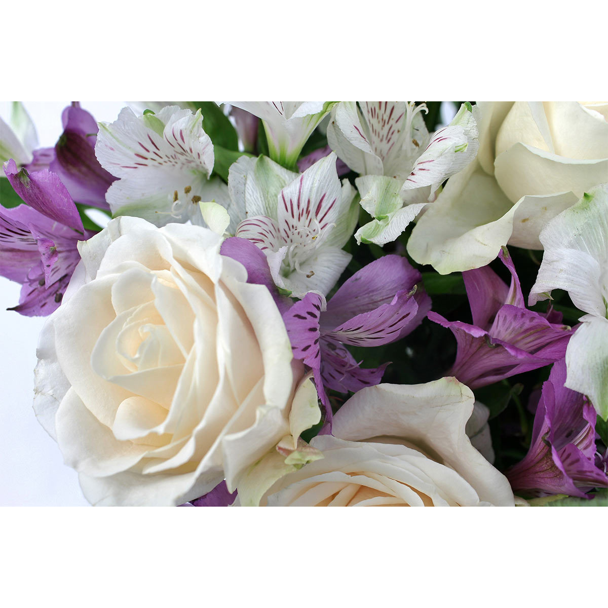 34 Stem Colombian Rose & Alstroemeria Flower Bouquet with Greetings Card