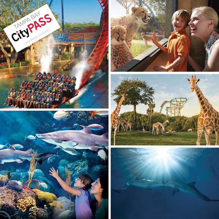 Tampa Bay CityPASS® 9 Day Ticket Booklet Costco UK