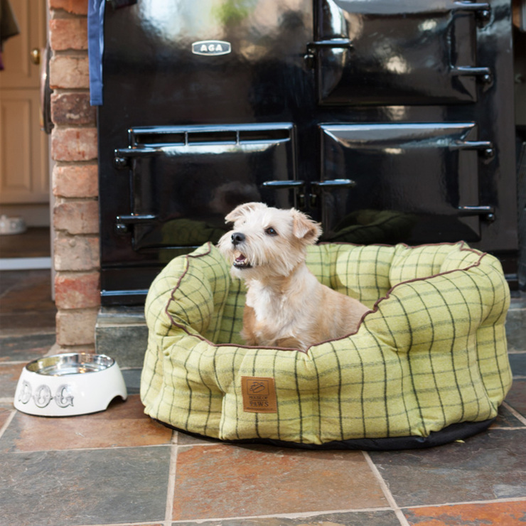 house of paws dog bed