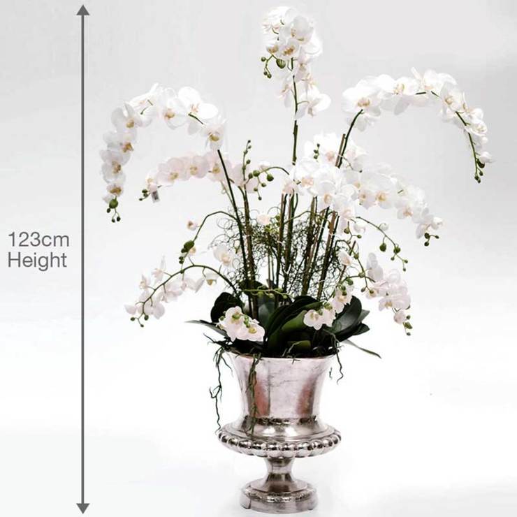 Bamburgh Silk Orchid, White in Silver Urn Costco UK