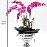 Bamburgh Silk Orchid Light Purple