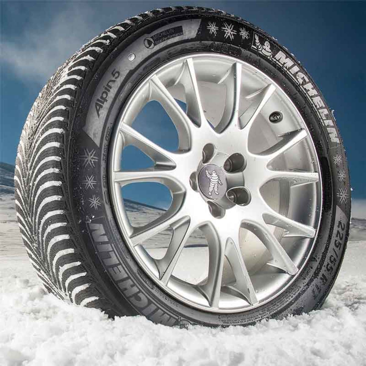 Michelin 315/30 R21 105V XL TL PILOT ALPIN 5 AML
