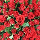 Valentine's 100 Stem Kenyan Red Calypso Roses Flower Bouquet with Greetings Card