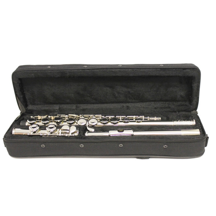 Windsor Nickel Plated Flute with Case Costco UK
