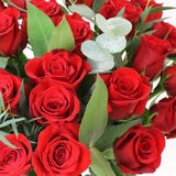 24 Stem Freedom Red Roses Flower Bouquet with Greetings Card