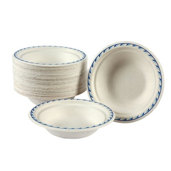 strong disposable plates