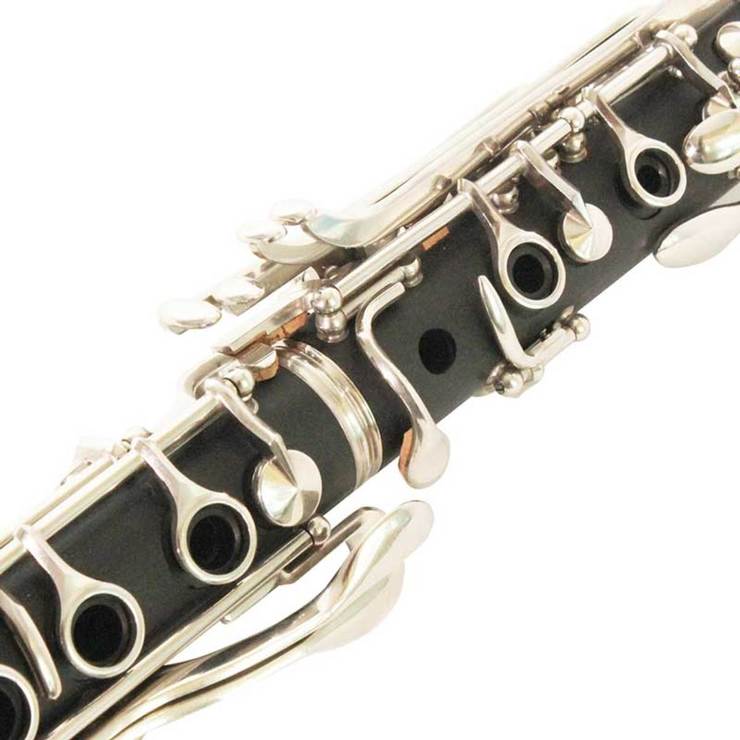 Windsor Bb with Case Costco UK