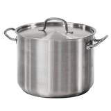Tramontina Proline Commercial Grade 15.1L Stock Pot With Lid