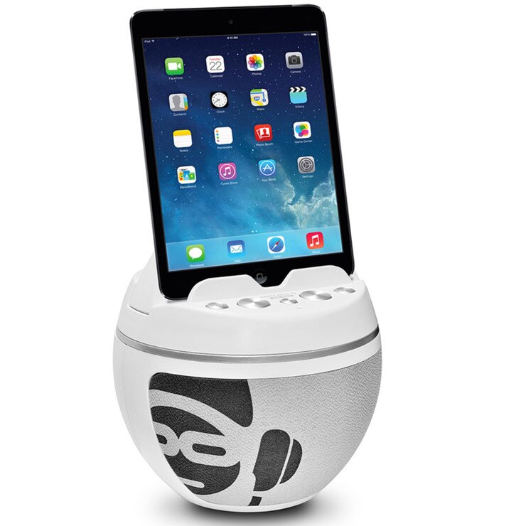 iDance EKBB10K Bluetooth Karaoke System with Built in Light Show in