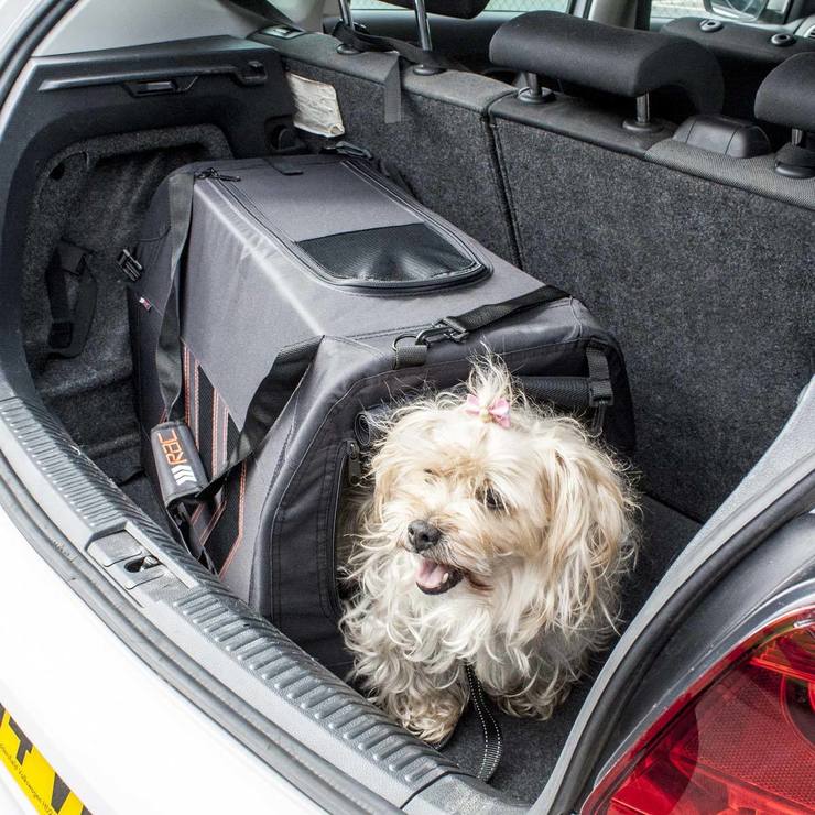 RAC Advanced Canvas Fold Flat Pet Carrier, Medium Costco UK