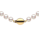 7.5-8mm Akoya Pearl Necklace in 18ct Yellow Gold