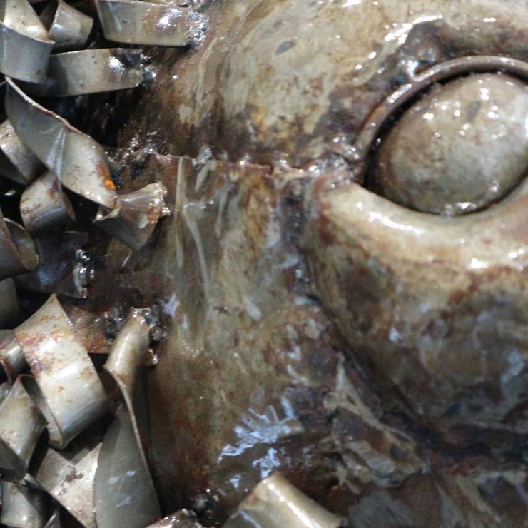 Pangea 4ft 4" (135 cm) Lion Ornamental Metal Structure - Life Size