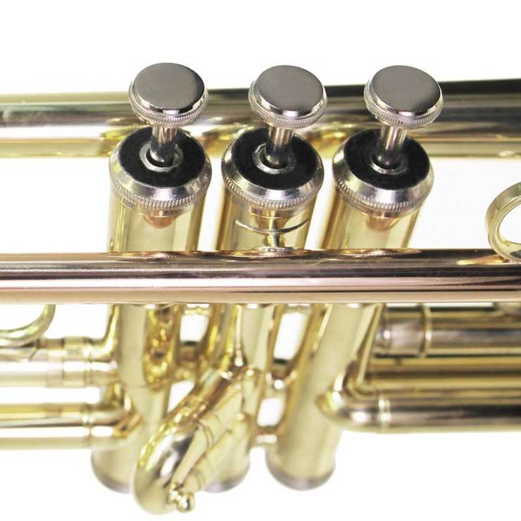 Windsor Bb Trumpet with Case Costco UK