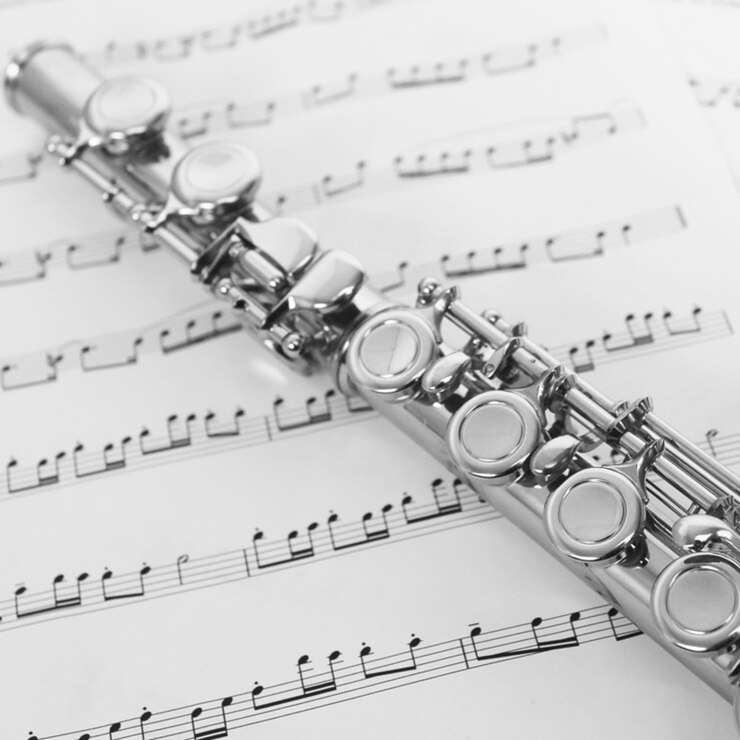 Windsor Nickel Plated Flute with Case Costco UK