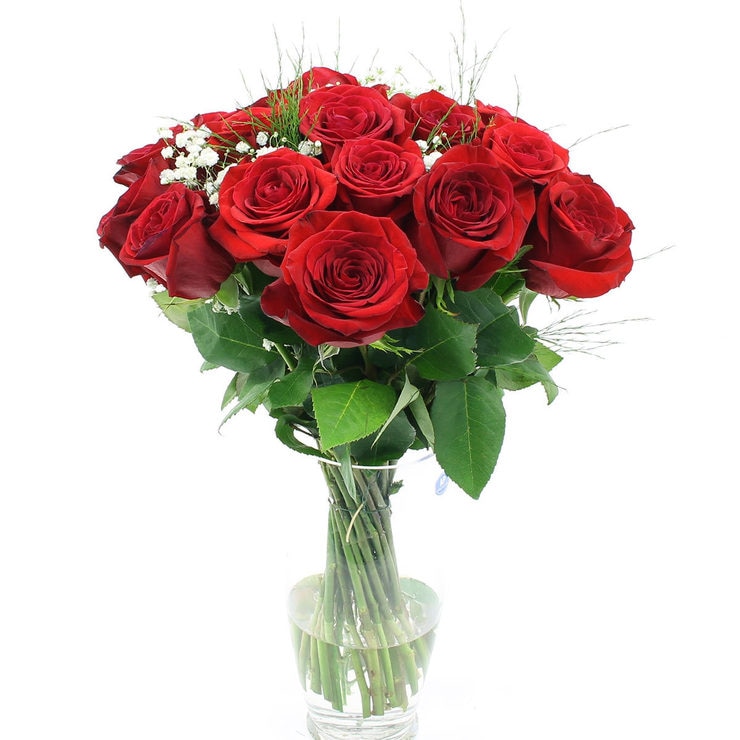 24 Stem Red Freedom Roses Flower Bouquet Costco UK