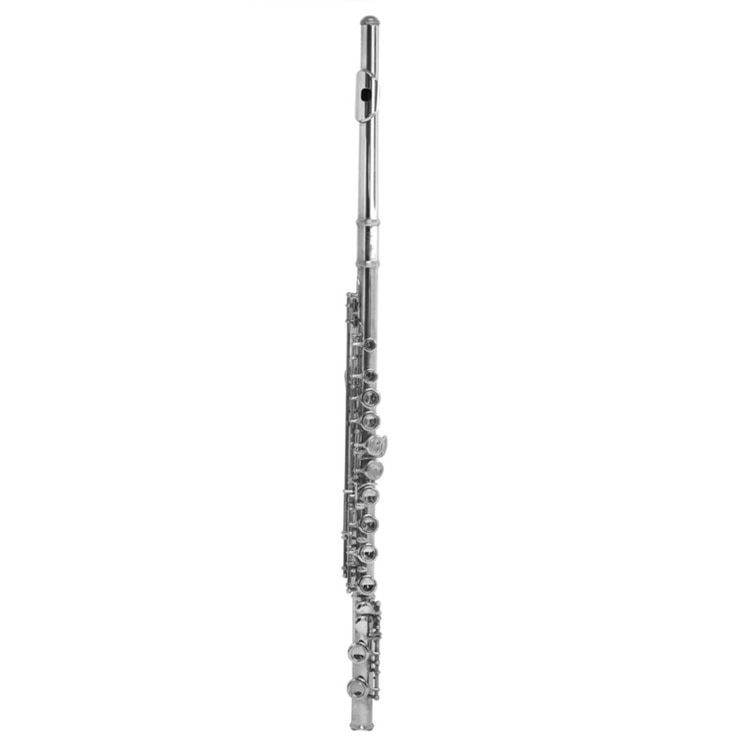 Windsor Nickel Plated Flute with Case Costco UK
