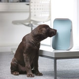 Dimplex HEPA Air Purifier Viro³ Technology, 28m²
